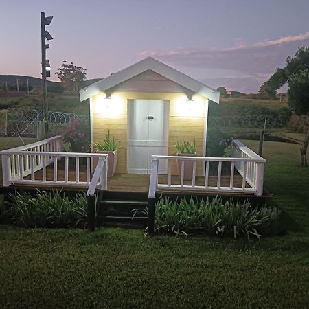 Bed and Breakfast Little Tree Loft 2 Uitenhage Экстерьер фото