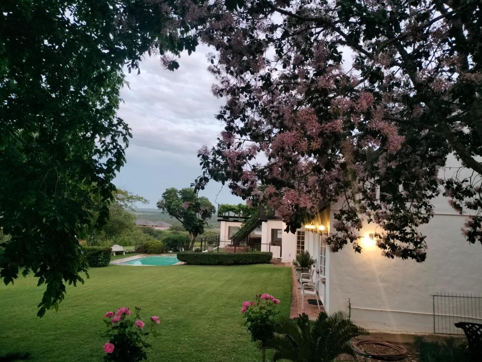 Bed and Breakfast Little Tree Loft 2 Uitenhage Экстерьер фото
