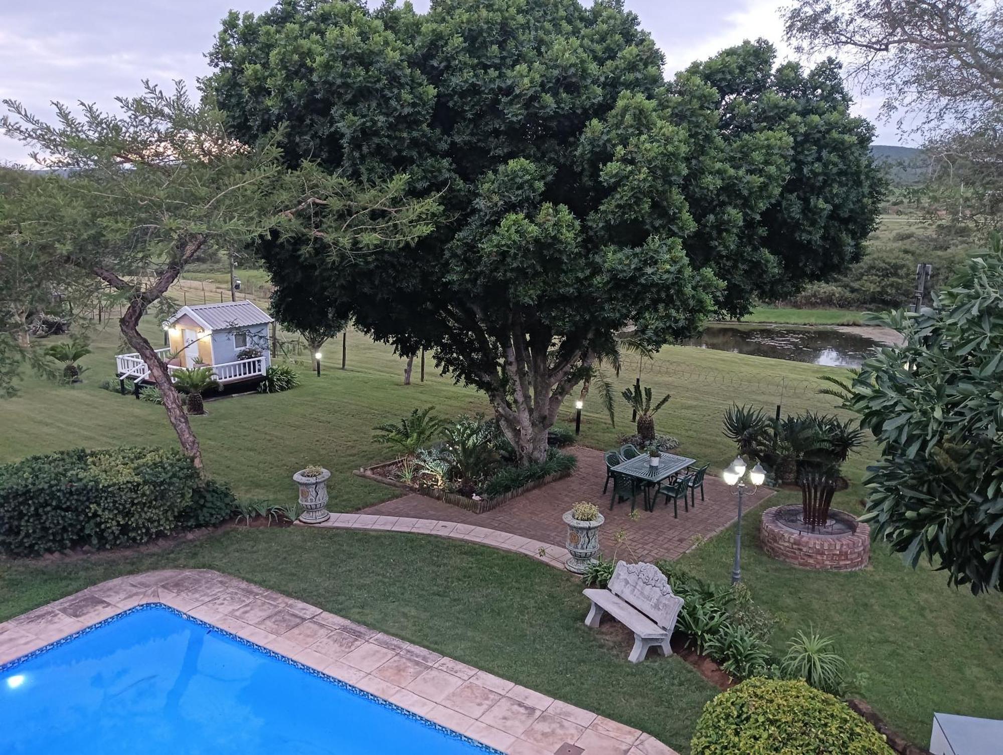 Bed and Breakfast Little Tree Loft 2 Uitenhage Экстерьер фото